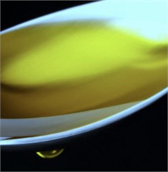 World’s Healthiest Olive Oil? The Jury’s Still Out